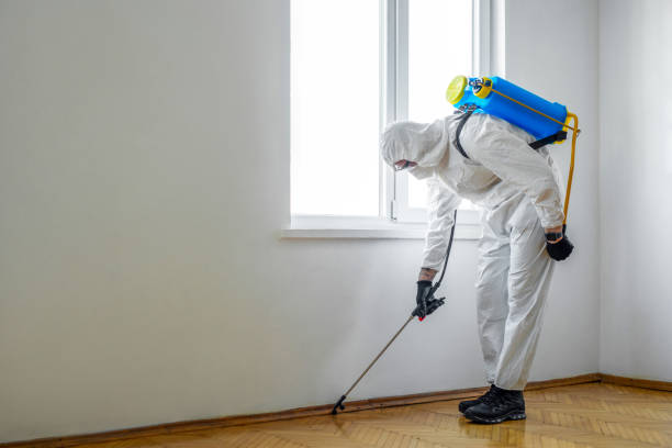 Professional Pest Control in Fairmount, NY